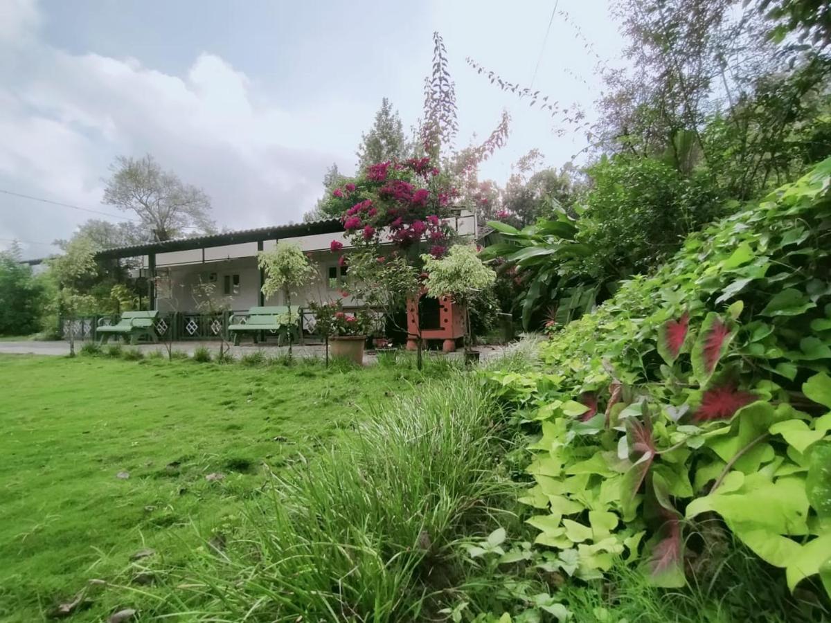 Silvershine Homestay Chikmagalūr Екстериор снимка