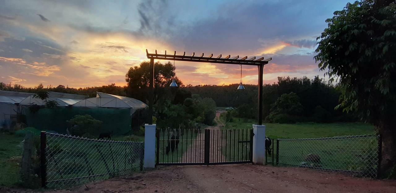 Silvershine Homestay Chikmagalūr Екстериор снимка